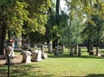 Public gardens and green areas